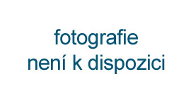 Freya Love Crush plunge AA403202 Aqua Haze